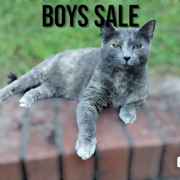 Unlisted show - Picture 2 of 4